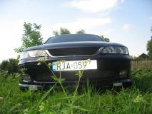 IMG_5019.JPG