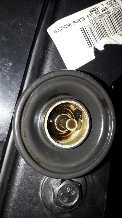 WhatsApp Image 2019-07-13 at 18.52.28.jpeg