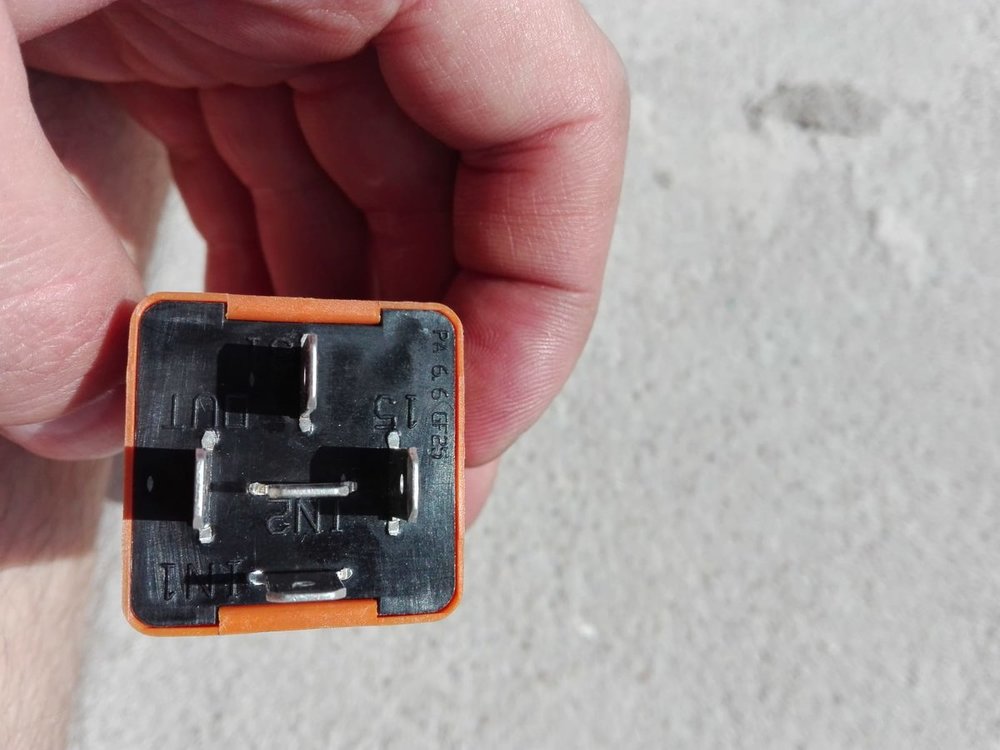 WhatsApp Image 2019-08-03 at 21.20.51.jpeg