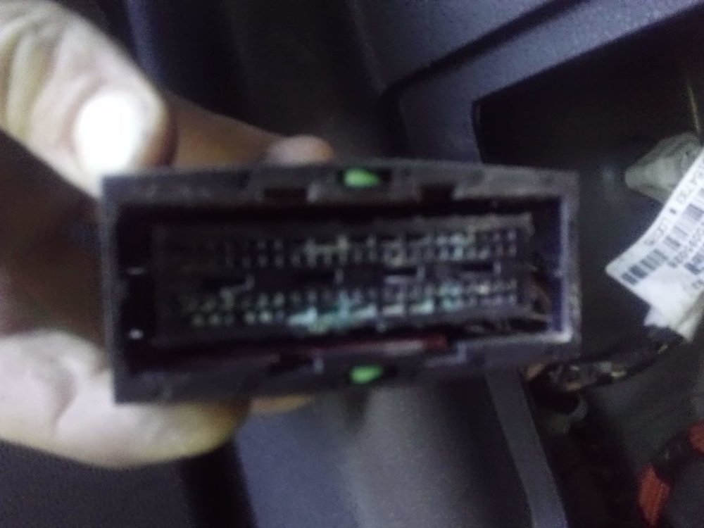 zasniedzialy rec 2.jpg