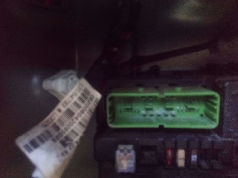 zasniedzialy rec 1.jpg