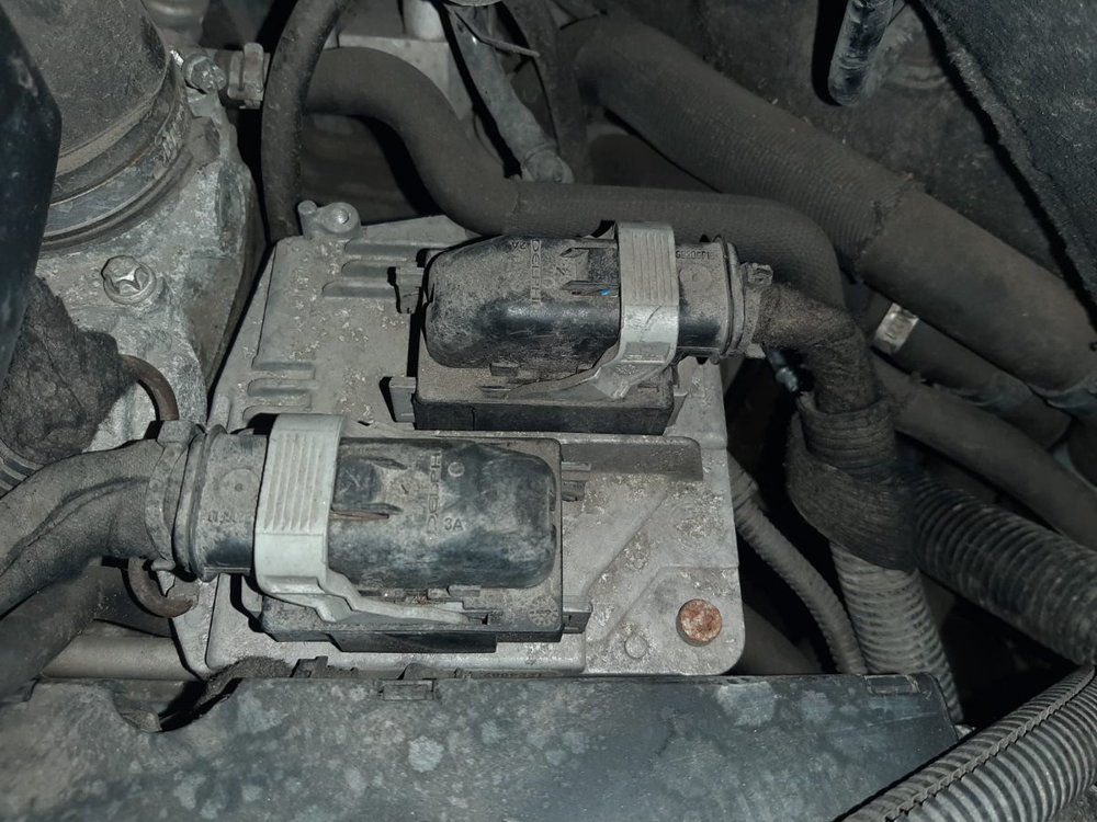 WhatsApp Image 2021-05-21 at 11.06.59.jpeg