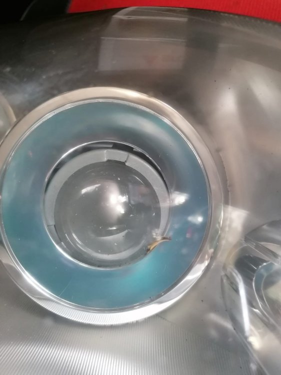 WhatsApp Image 2021-10-30 at 14.48.55.jpeg