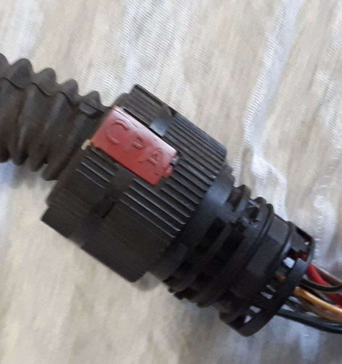 Pszelotka 4_Easy-Resize.com.jpg