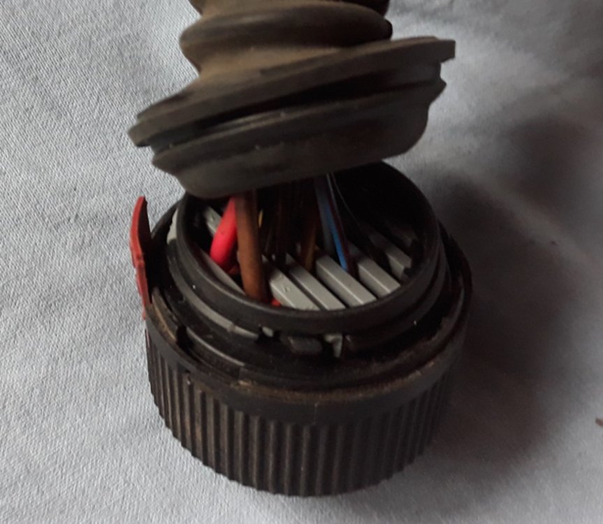 Pszelotka 3_Easy-Resize.com.jpg