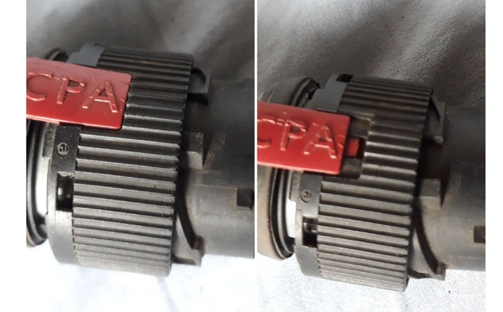 Pszelotka 5_Easy-Resize.com.jpg