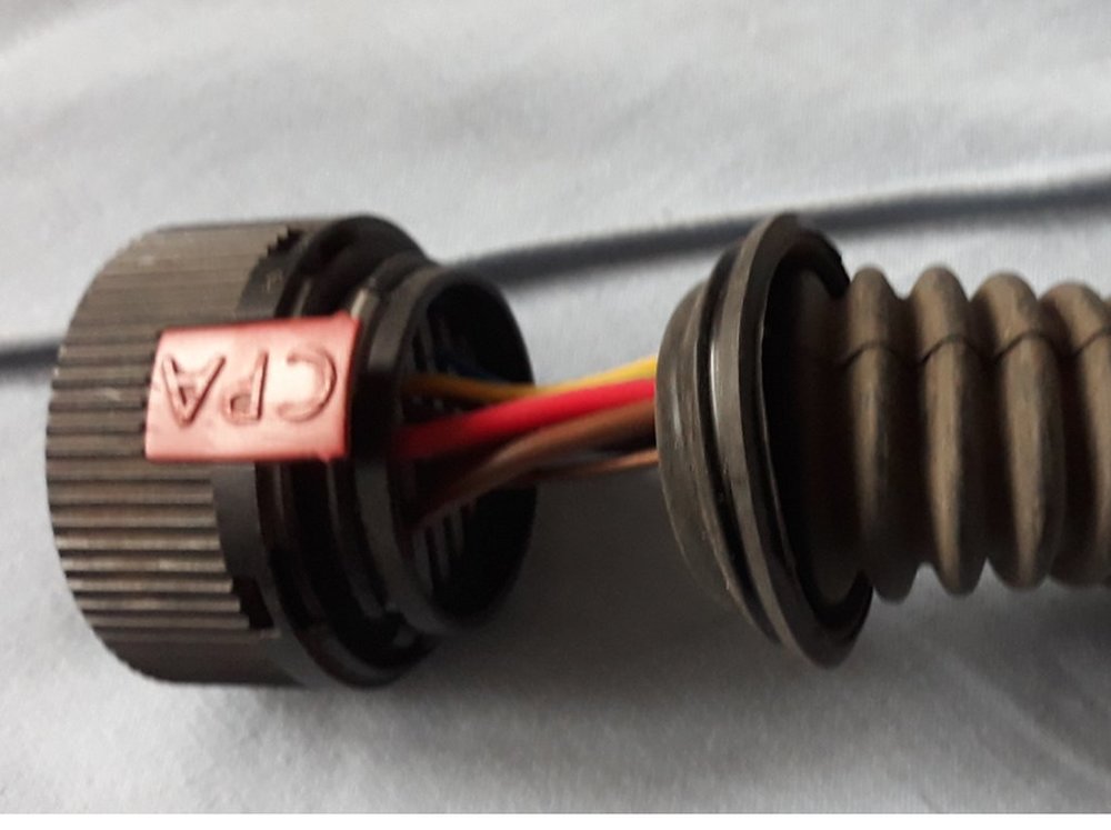 Pszelotka 2_Easy-Resize.com.jpg